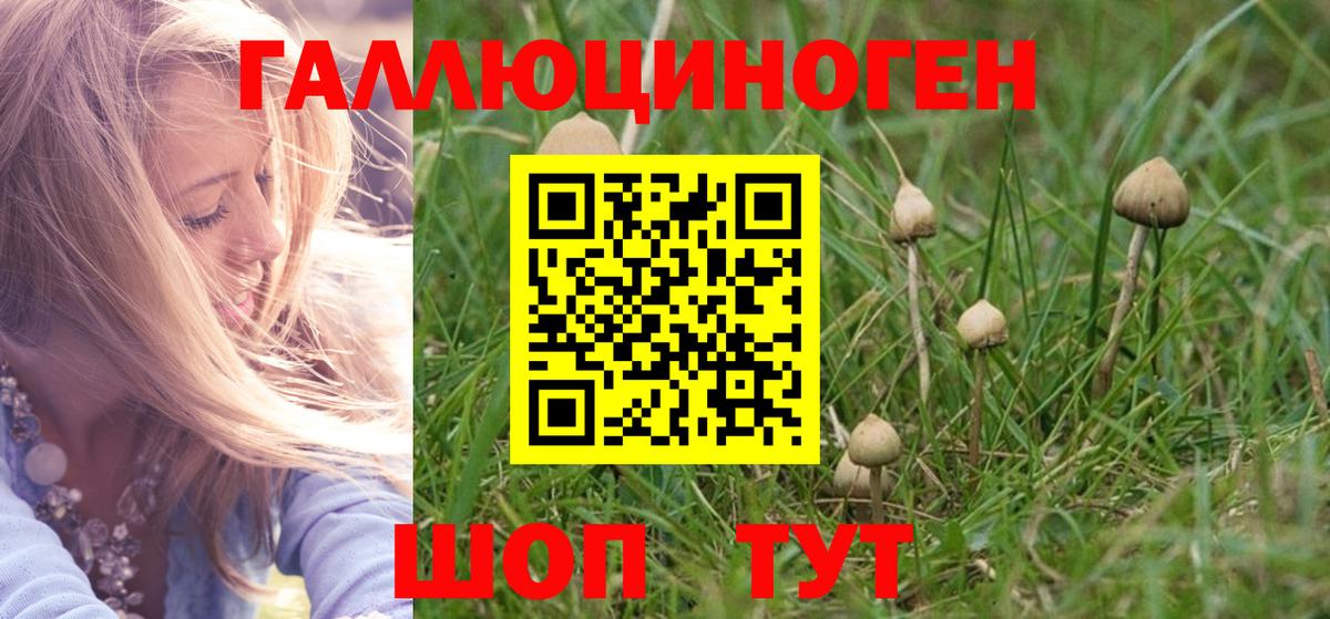 Топки  Псилоцибиновые грибы Psilocybine cubensis  Вход с VPN  Галлюциногенные грибы мицелий 